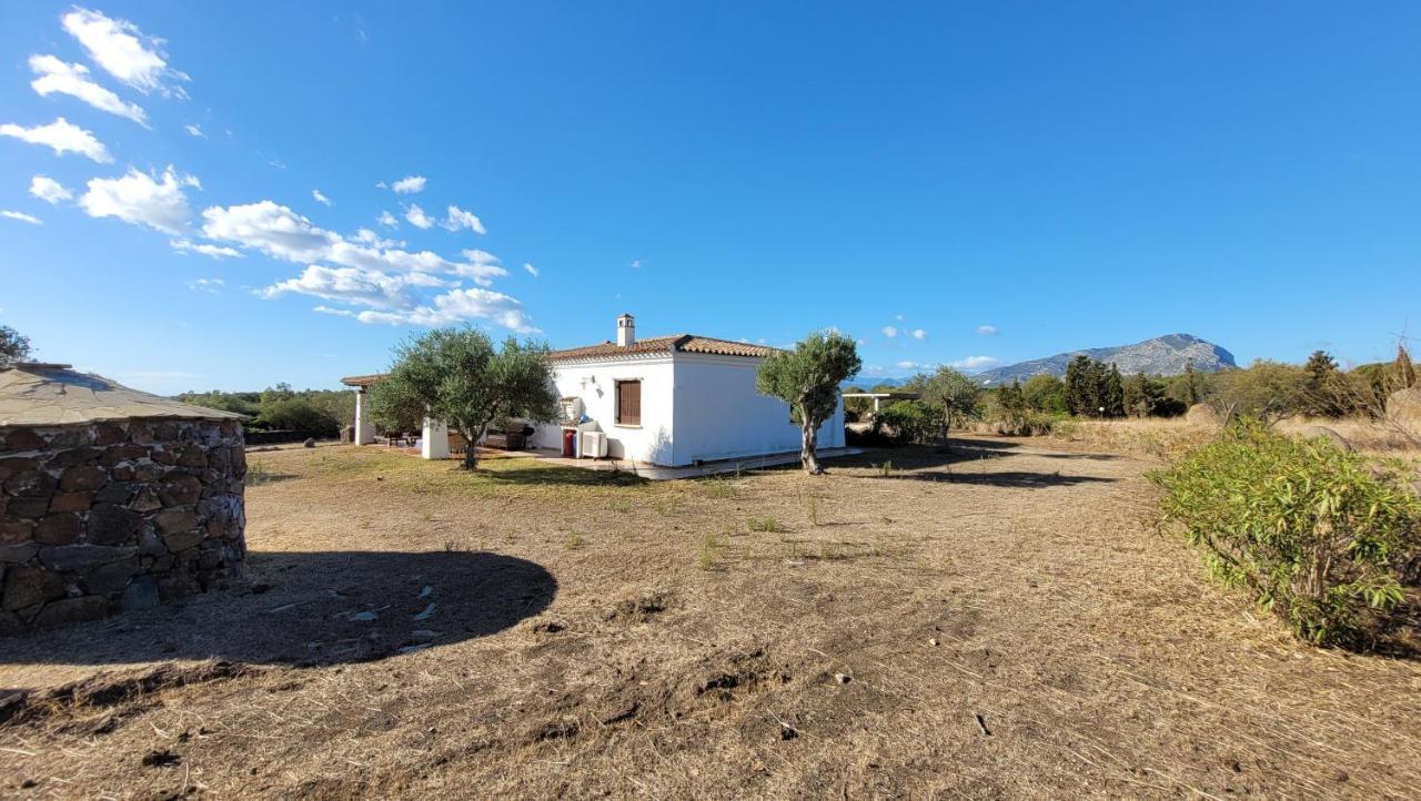 Villa Casa Mate Orosei Buitenkant foto